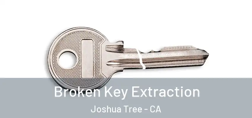 Broken Key Extraction Joshua Tree - CA