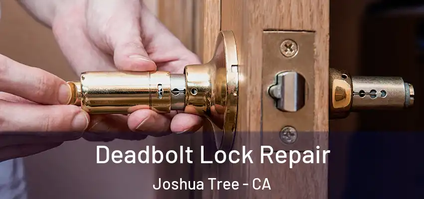  Deadbolt Lock Repair Joshua Tree - CA