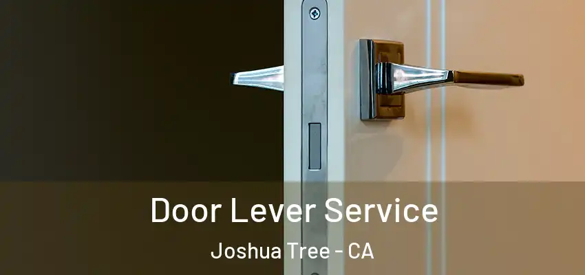  Door Lever Service Joshua Tree - CA