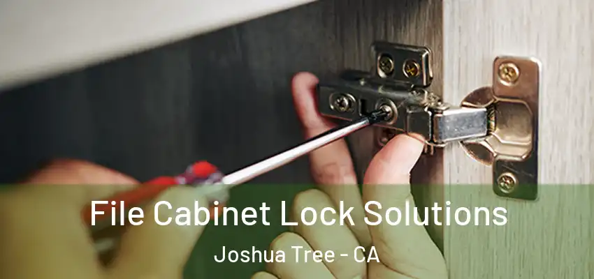  File Cabinet Lock Solutions Joshua Tree - CA