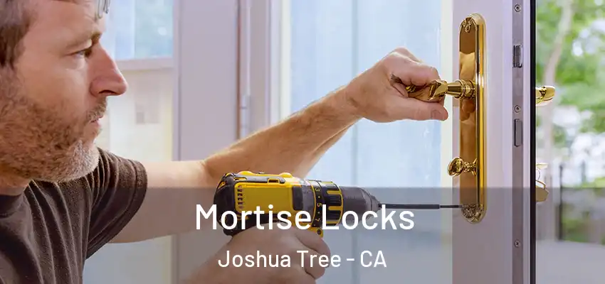  Mortise Locks Joshua Tree - CA