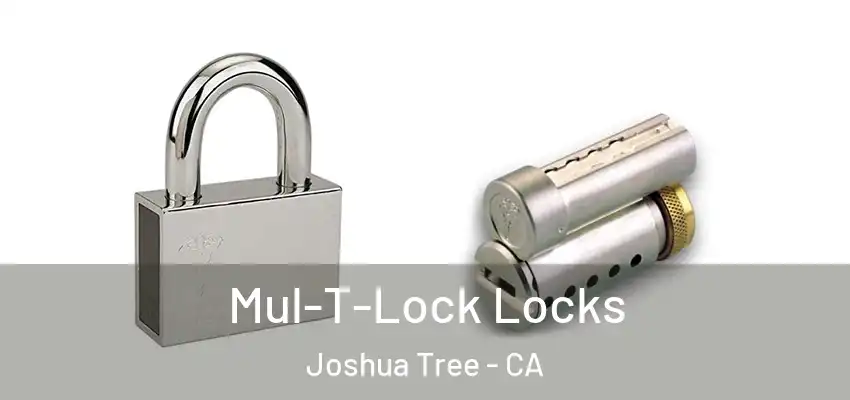  Mul-T-Lock Locks Joshua Tree - CA
