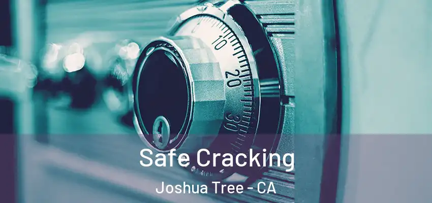 Safe Cracking Joshua Tree - CA